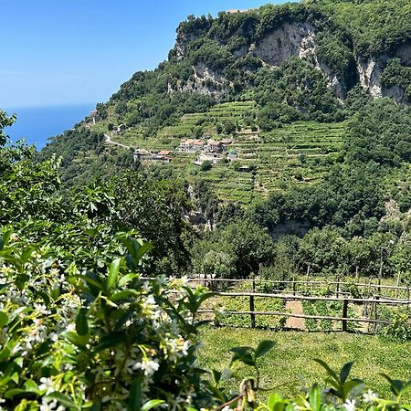 Agriturismo Orrido Di Pino Villa Agerola Exterior foto