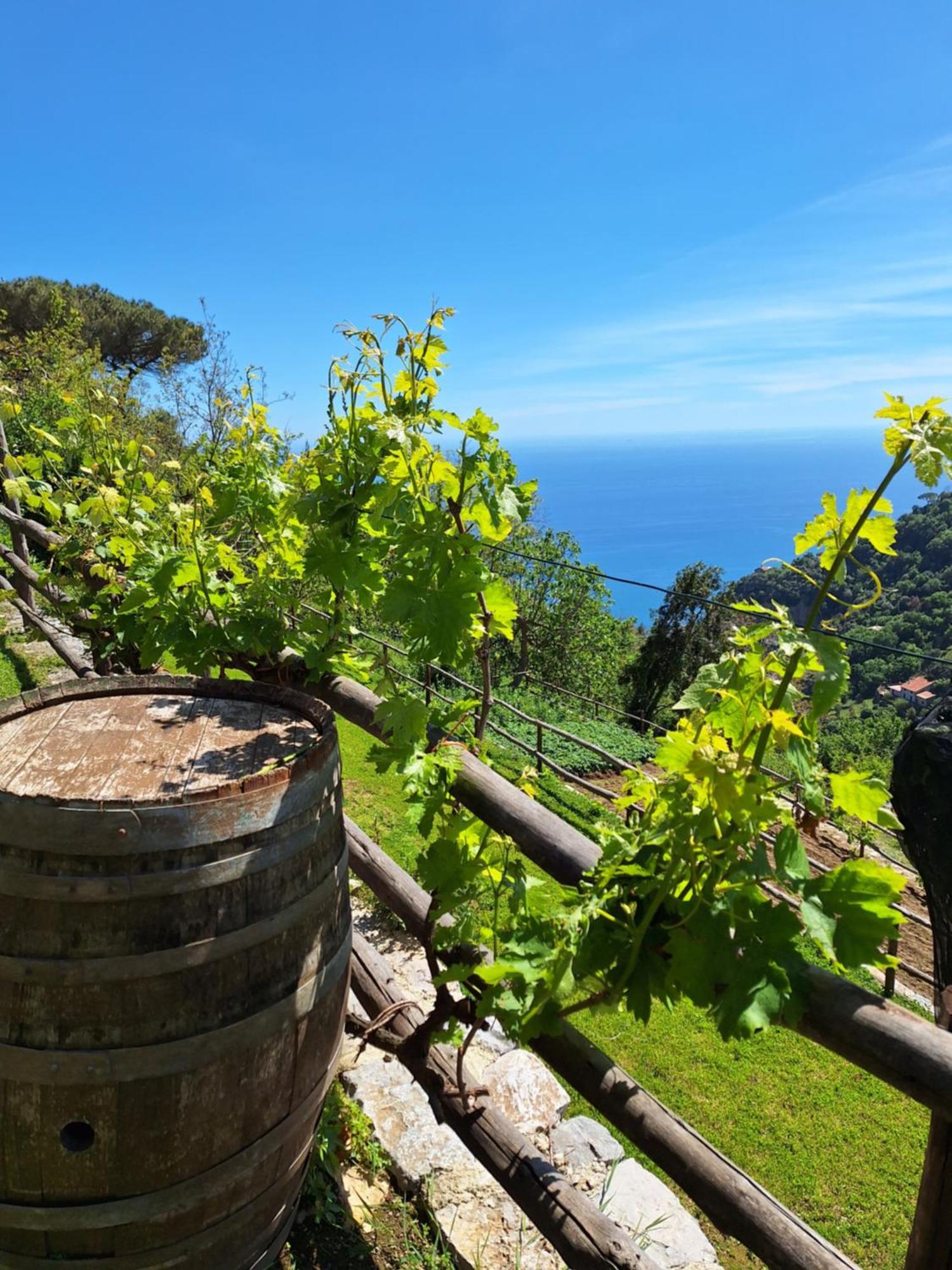 Agriturismo Orrido Di Pino Villa Agerola Exterior foto