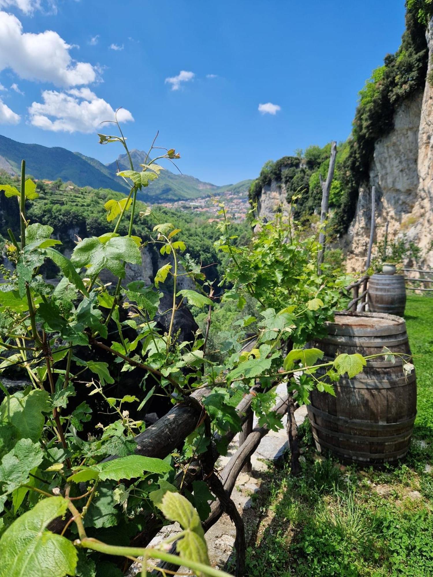 Agriturismo Orrido Di Pino Villa Agerola Exterior foto