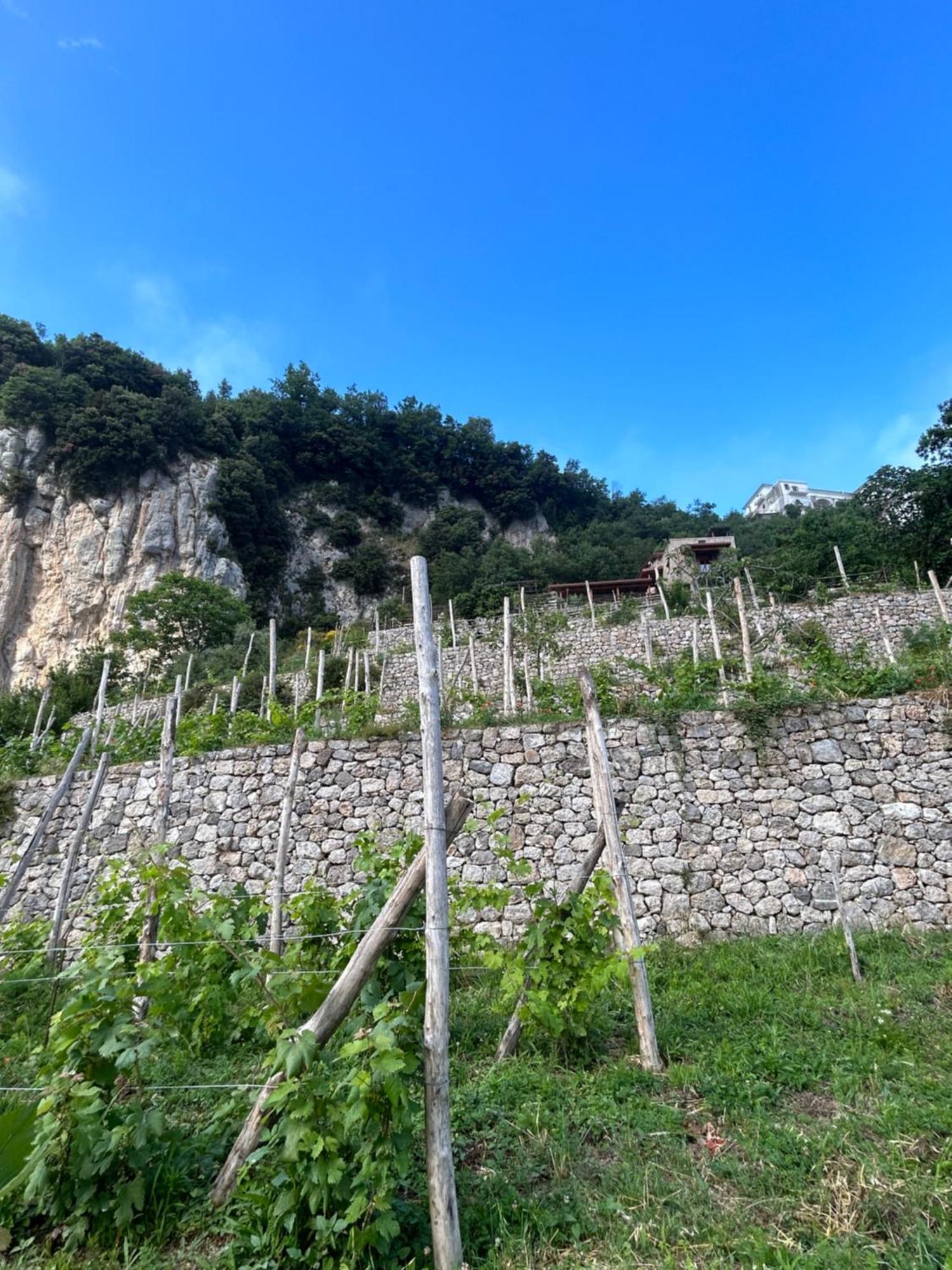 Agriturismo Orrido Di Pino Villa Agerola Exterior foto