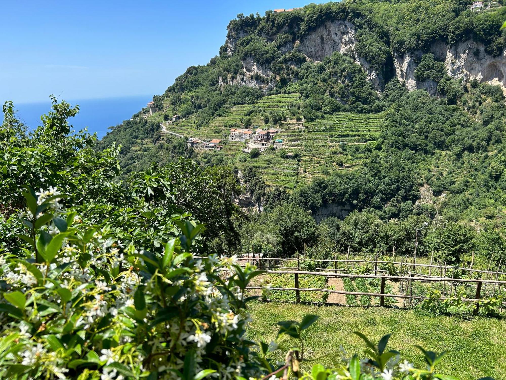 Agriturismo Orrido Di Pino Villa Agerola Exterior foto