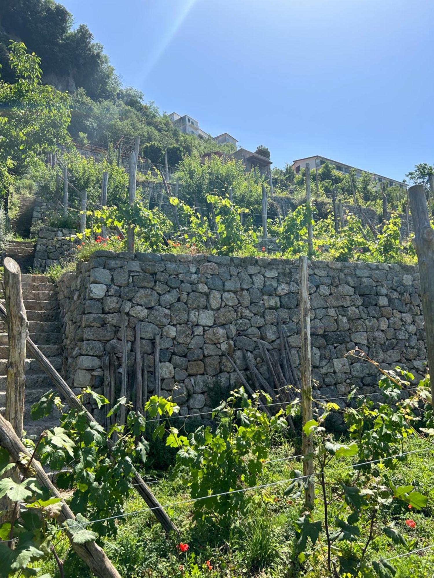 Agriturismo Orrido Di Pino Villa Agerola Exterior foto